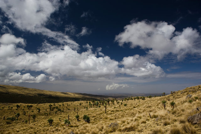 Ethiopia Archive Xflo W Photography And Lots Of Travelling   5S3J9564 Simien Mountains 640x427 